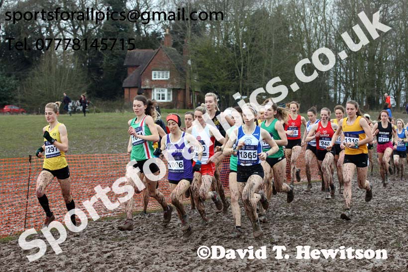 Senior womens 2018 British Inter Counties Cross Country Champs., Prestwold Hall, Loughborough. Photo: David T. Hewitson/Sports for All Pics